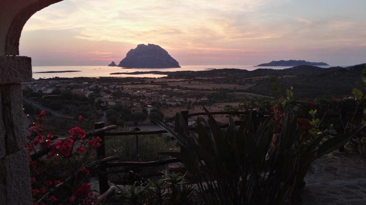 Appartamenti Sardegna Porto San Paolo  Exteriér fotografie
